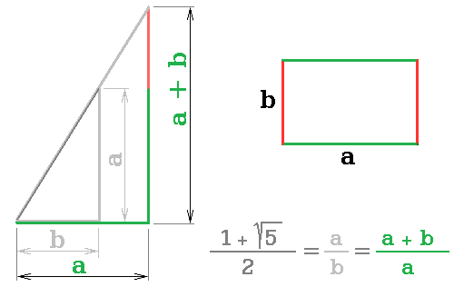 11obr1@ Zlatý řez - poměr stran geometrie